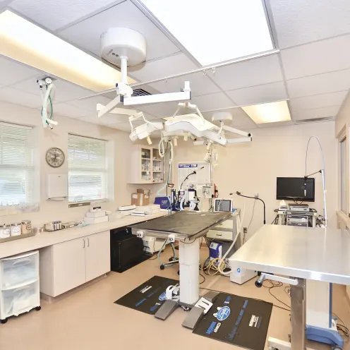 Surgical Suite at Martin Downs Animal Hospital